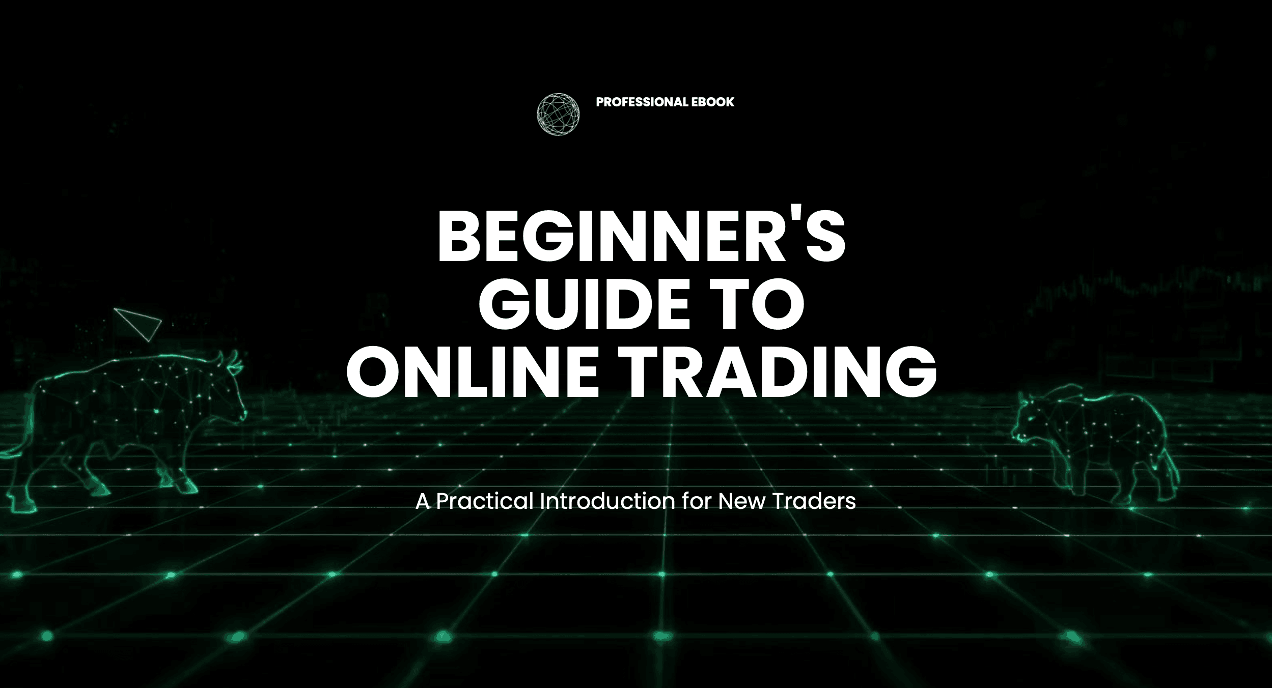 Beginner's Guide  To Online Trading
